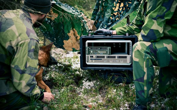 rugged server in the nature with a adog next to it